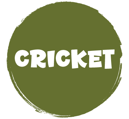 Cricket Tees