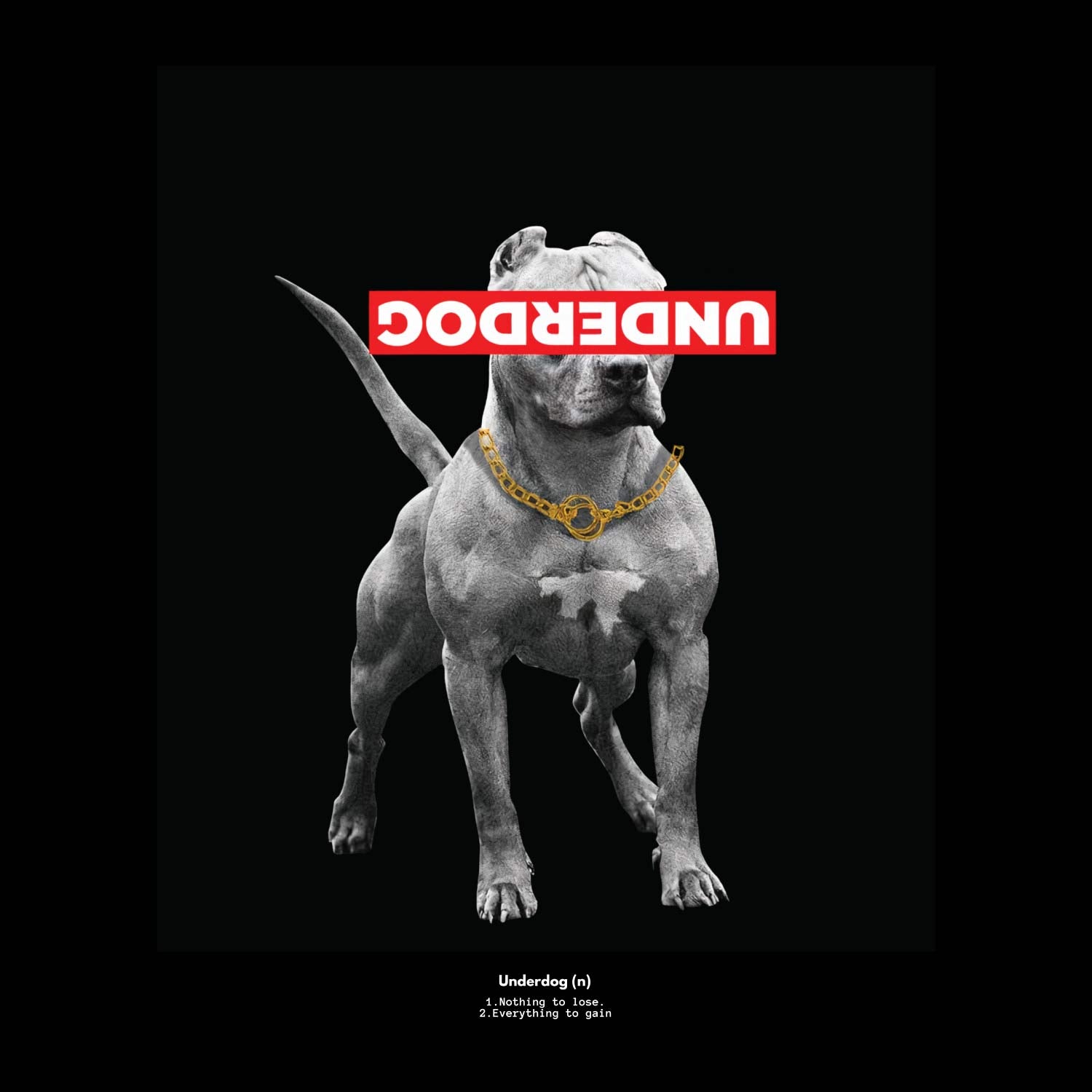 Underdog Back Print – Tantra Original Brand Since 1997 – Unisex Cotton Tee – Casual Everyday Wear - Shipping Globally!