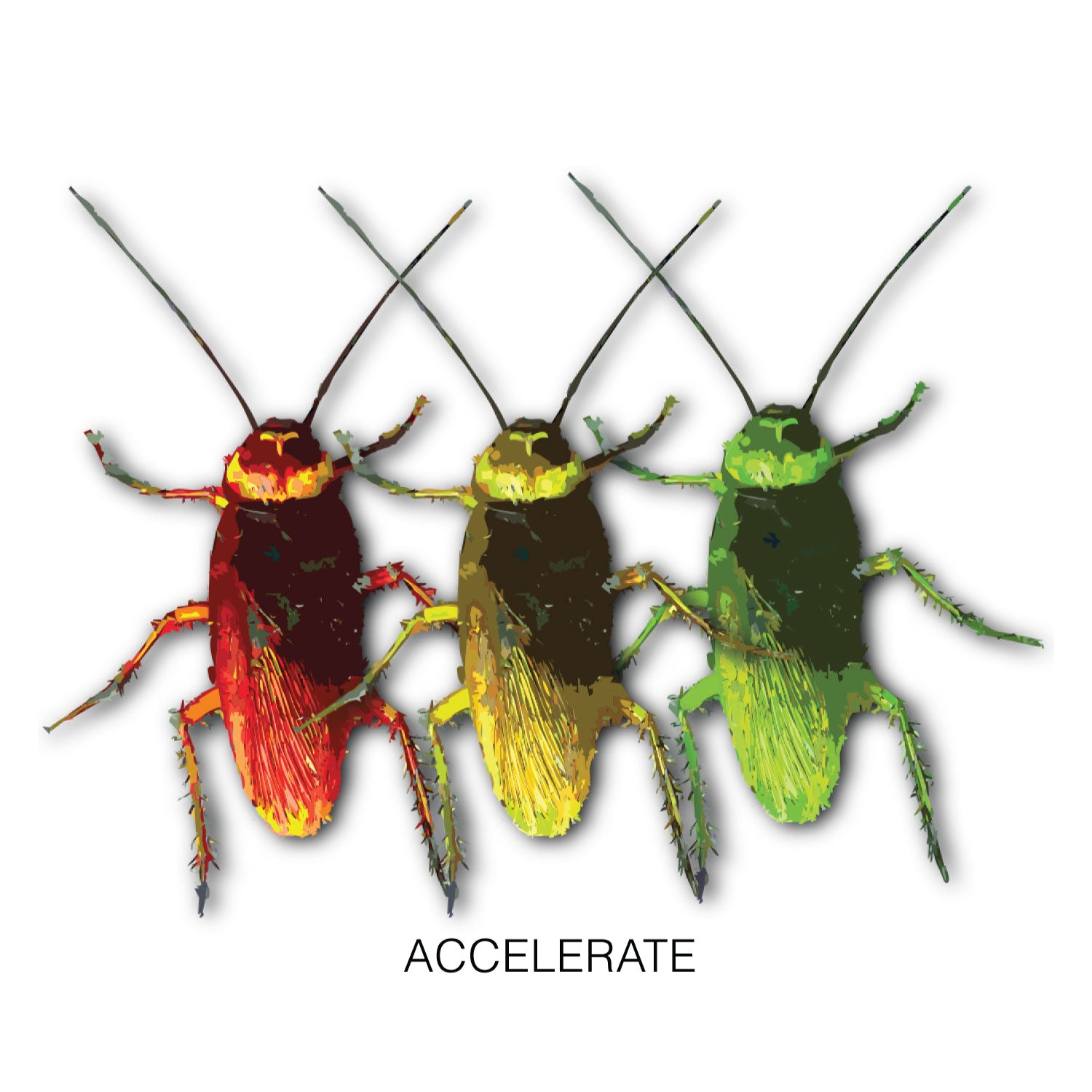 Accelerate 100% Cotton Unisex T-Shirt Everyday Casual Wear Original Since 1997 Shipping Globally
