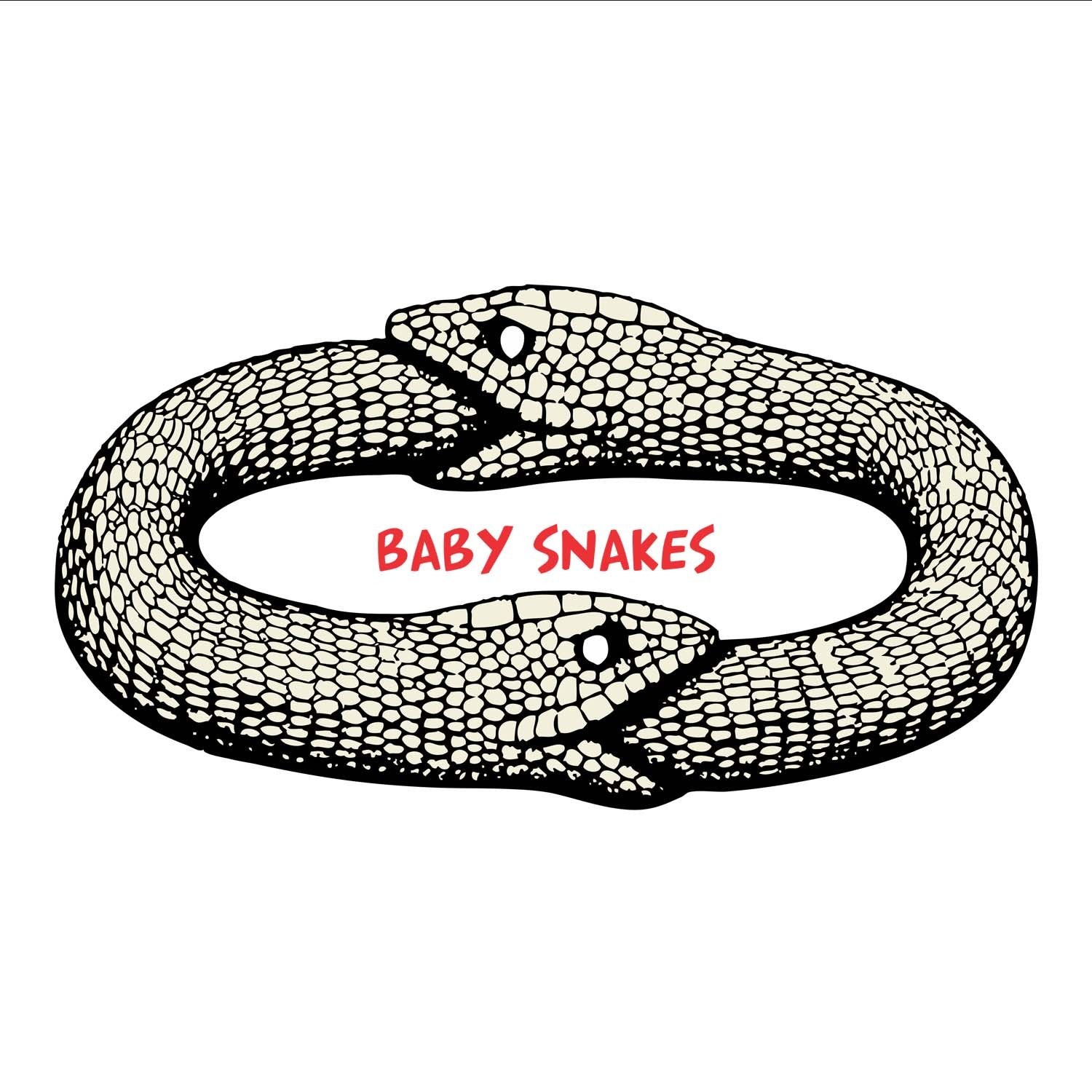 Baby Snakes - Shipping Globally!