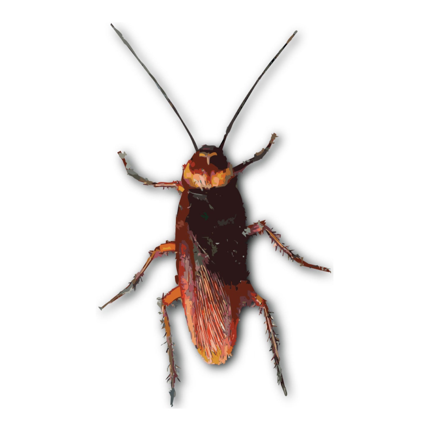 Cockroach 100% Cotton Unisex T-Shirt Everyday Casual Wear Original Since 1997 Shipping Globally