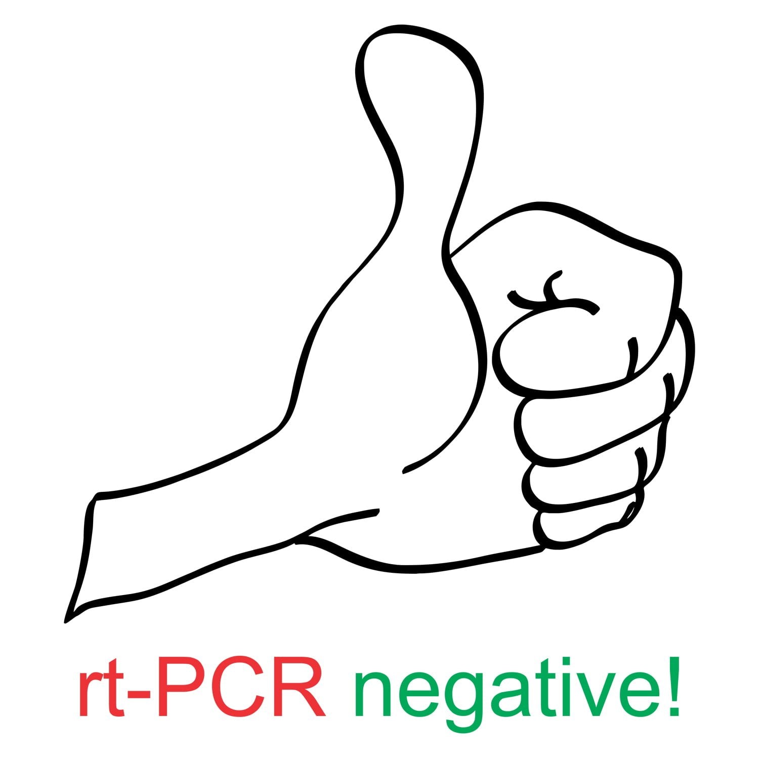 RT PCR negative